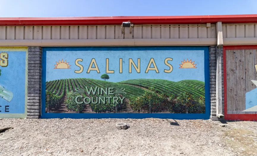 Salinas Wine Country mural showing vineyard rows near Security Public Storage in Salinas, CA