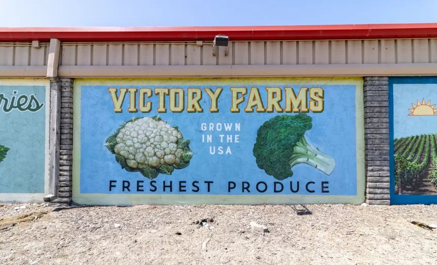 Victory Farms fresh produce mural featuring cauliflower and broccoli near Security Public Storage in Salinas, CA