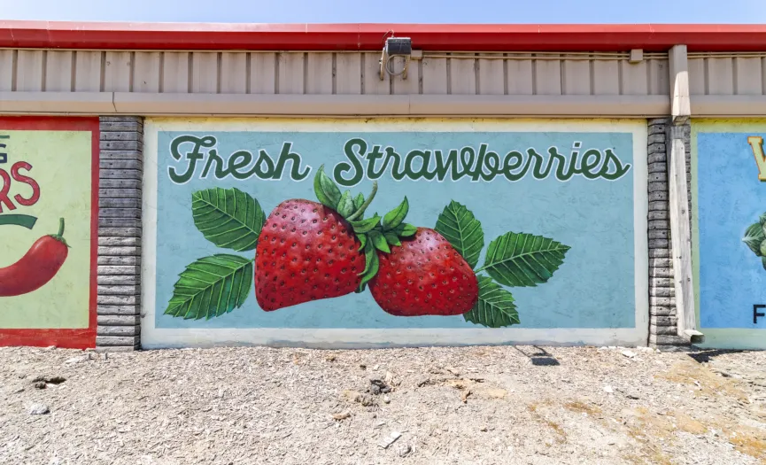 Fresh strawberries agricultural mural along Blue Star Memorial Highway near Security Public Storage in Salinas, CA
