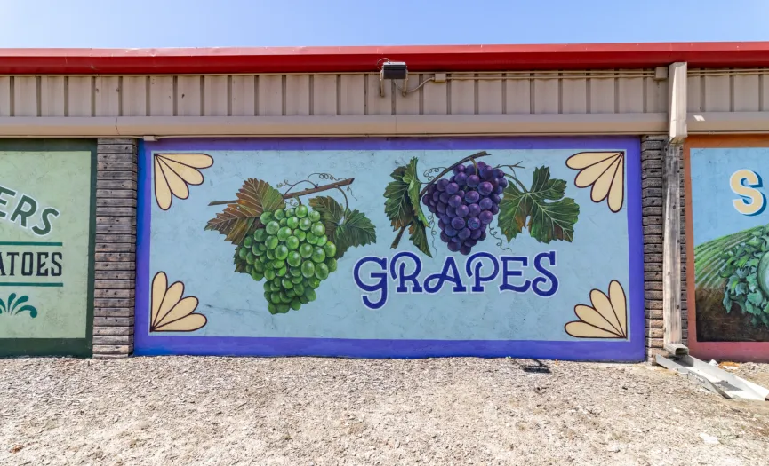 Grapes mural representing Salinas Valley agriculture near Security Public Storage in Salinas, CA