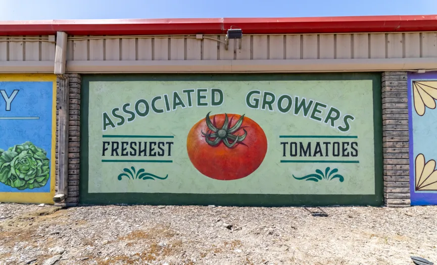 Tomatoes agricultural mural near Security Public Storage on Blue Star Memorial Highway in Salinas, CA