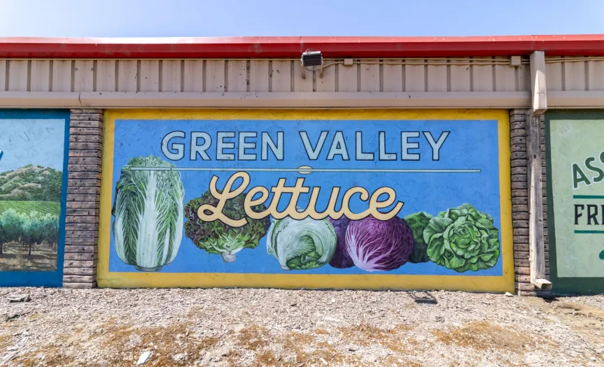 Green Valley lettuce mural near Security Public Storage in Salinas, CA