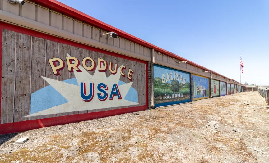 Produce USA agricultural mural along Blue Star Memorial Highway near Security Public Storage in Salinas, CA