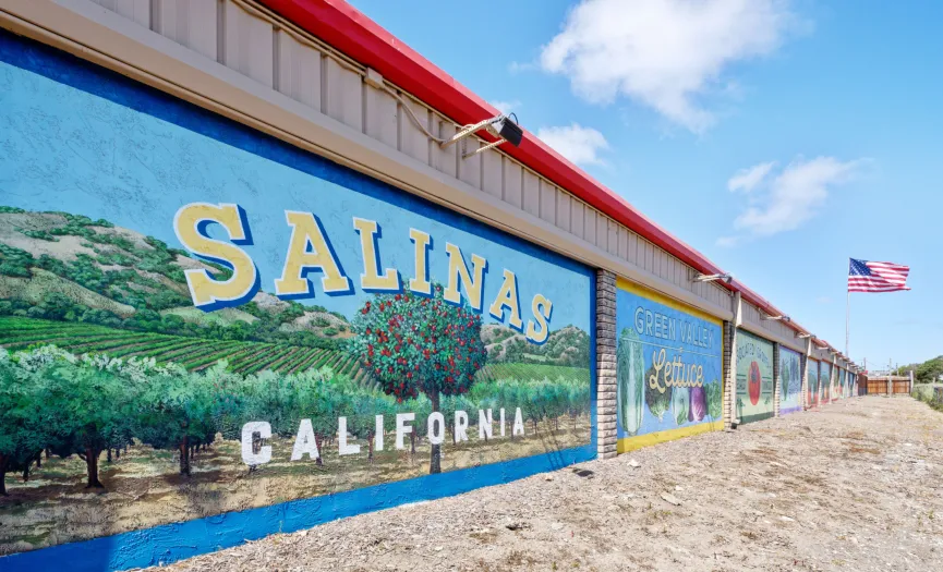 Salinas California agricultural landscape mural along Blue Star Memorial Highway near Security Public Storage in Salinas, CA