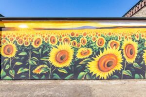 vacaville mural sunflowers