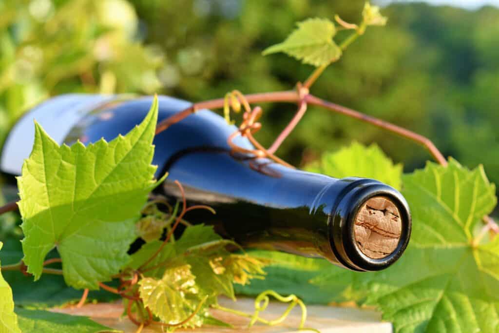 Wine storage in Napa, CA