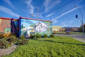 Charles Schultz mural at SPS Santa Rosa