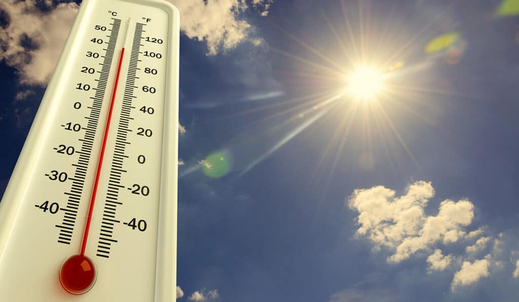 Climate-controlled storage units help beat the heat