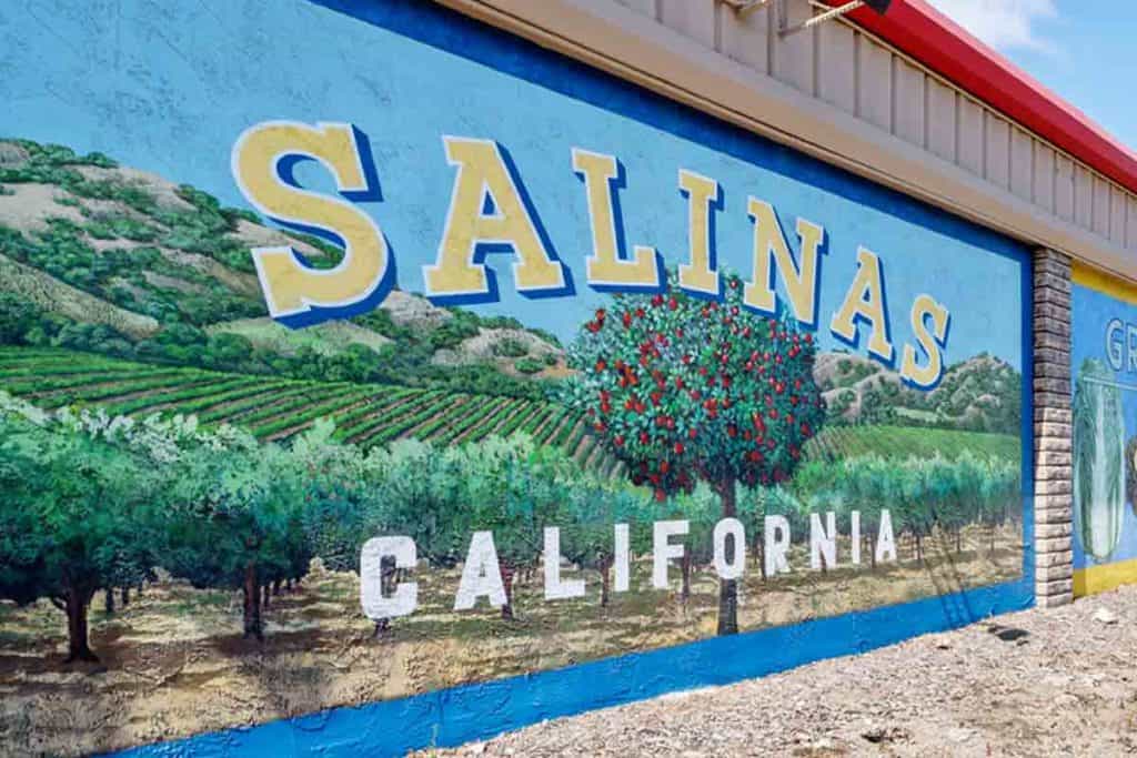 salinas mural
