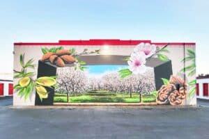 modesto almond blossom mural