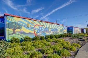 Santa Rosa city mural